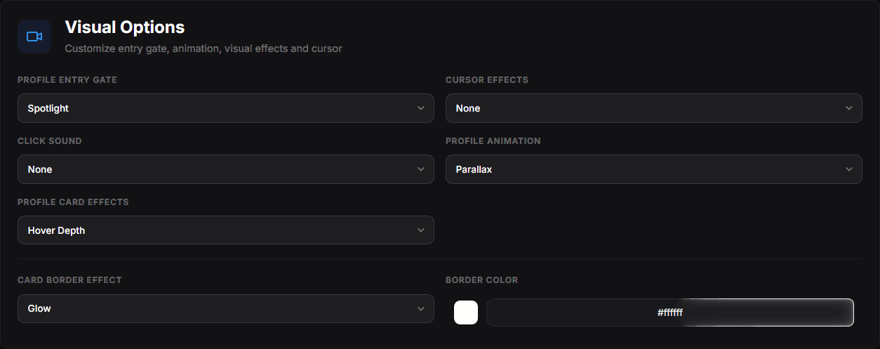The Visual Options card with the entry gate, cursor, click sound, card and border effect controls